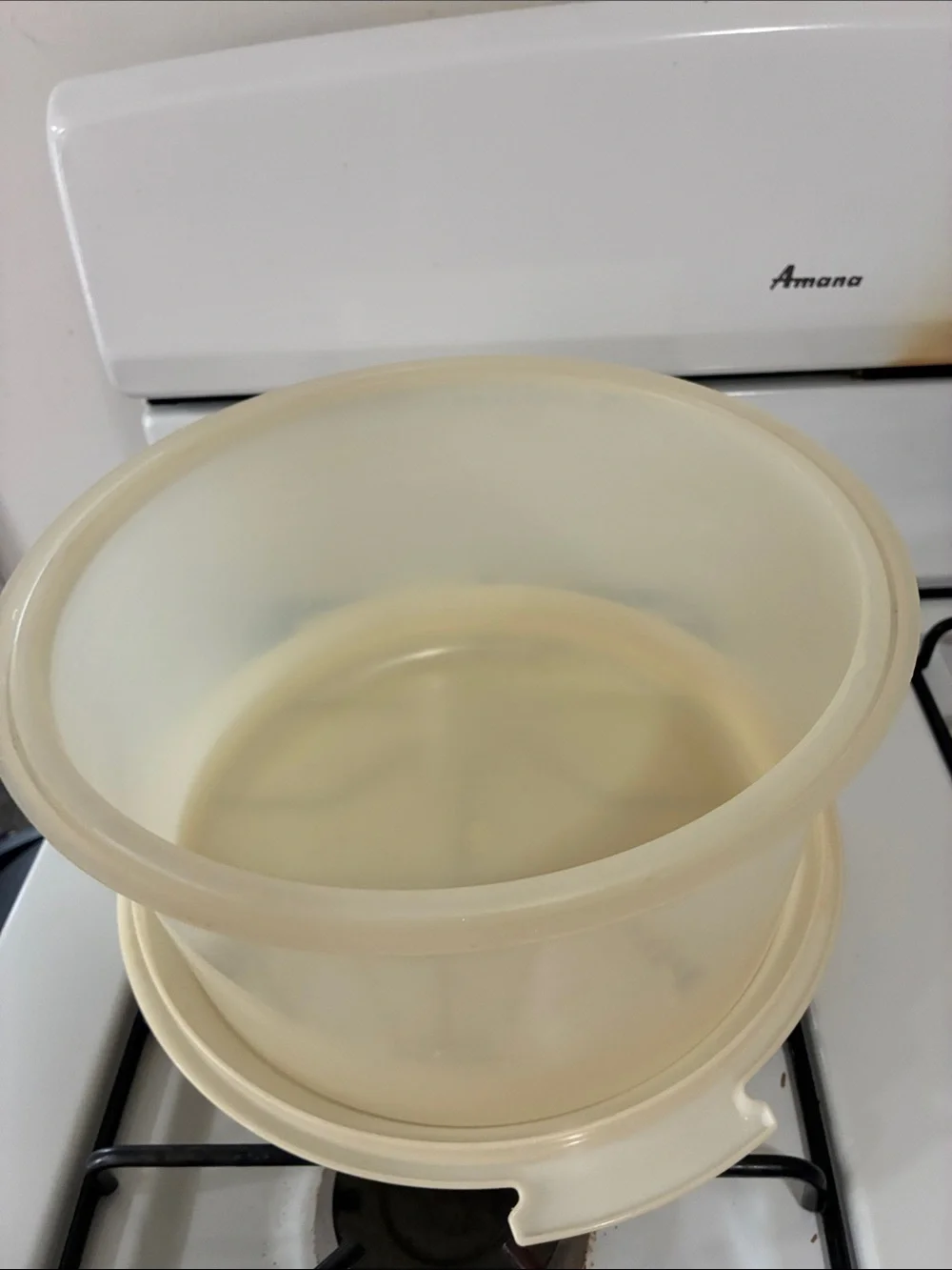 Tupperware Cream Plastic Cake Carrier and Base